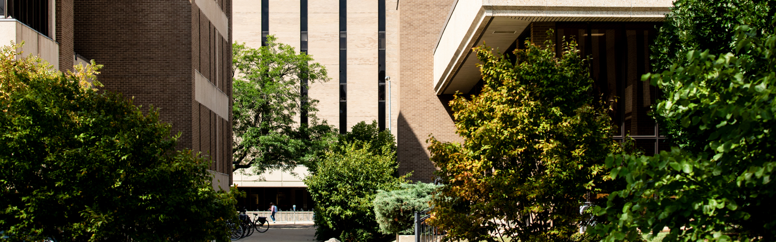 buildings and trees on a college campus